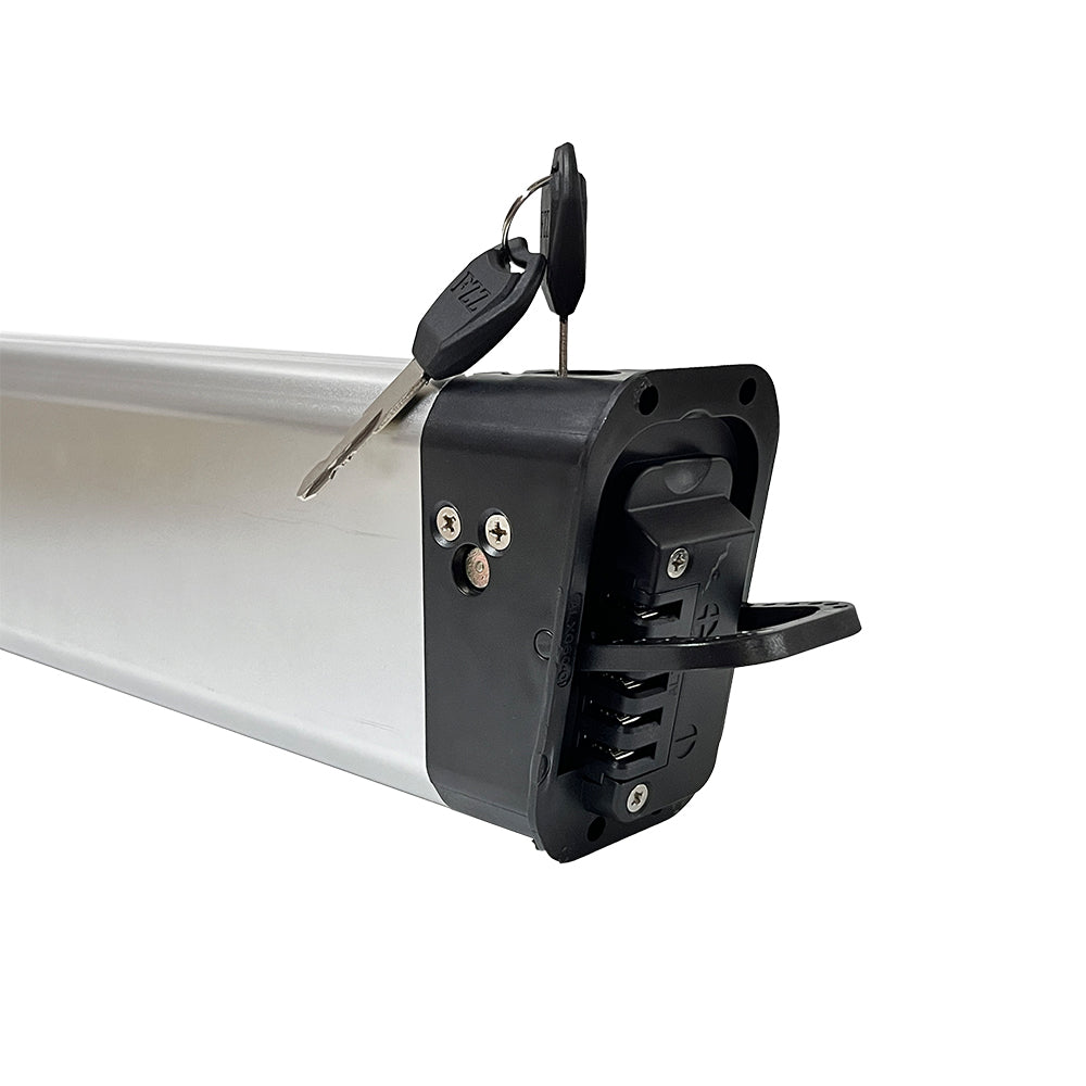 Bateria Samsung 50E 48V 10AH Para BT20