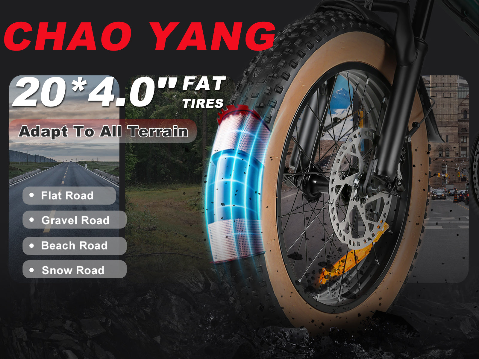 XWLX09-II 1000W Bicicleta Elétrica de Montanha com Pneus Grossos