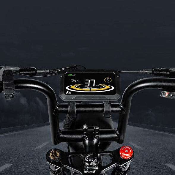 M20-III Bicicleta Elétrica 2000W