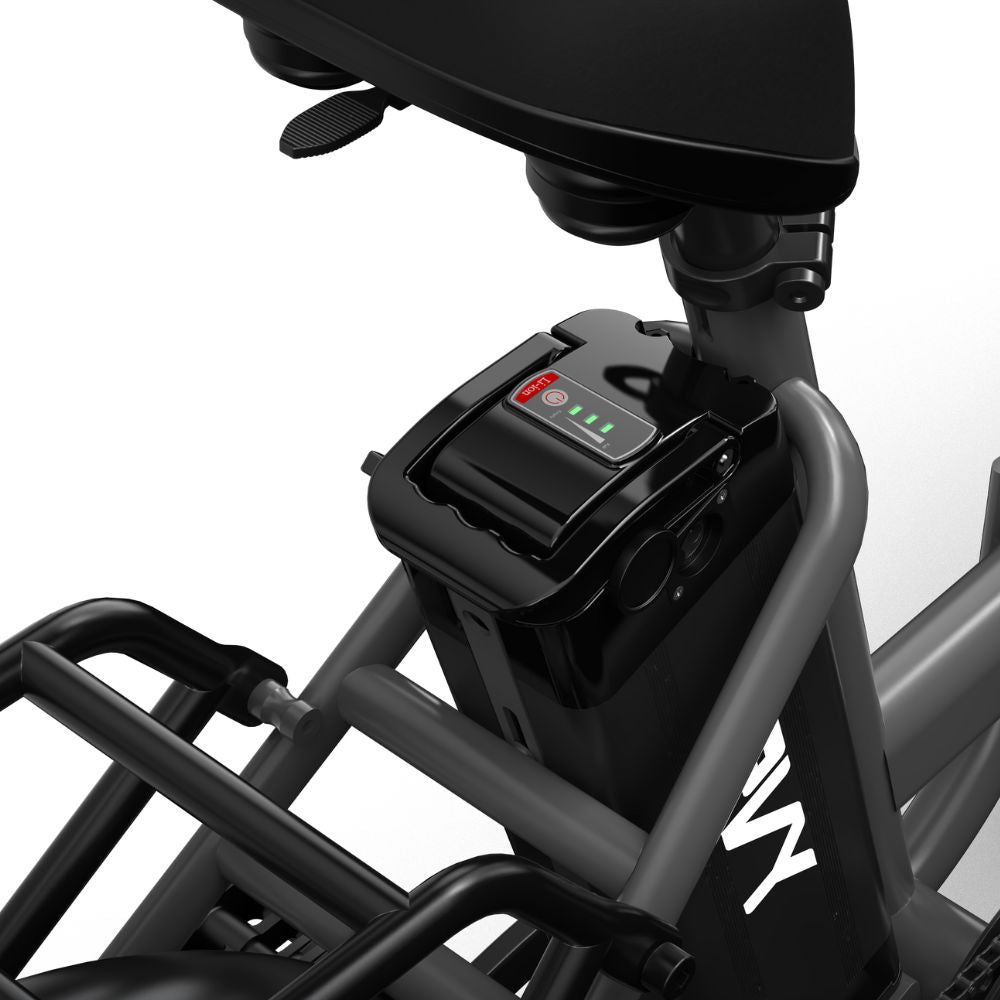 LS20 Batteria agli ioni di litio