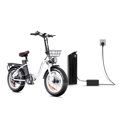 Drvetion CT20 20AH+20AH Doble batterier