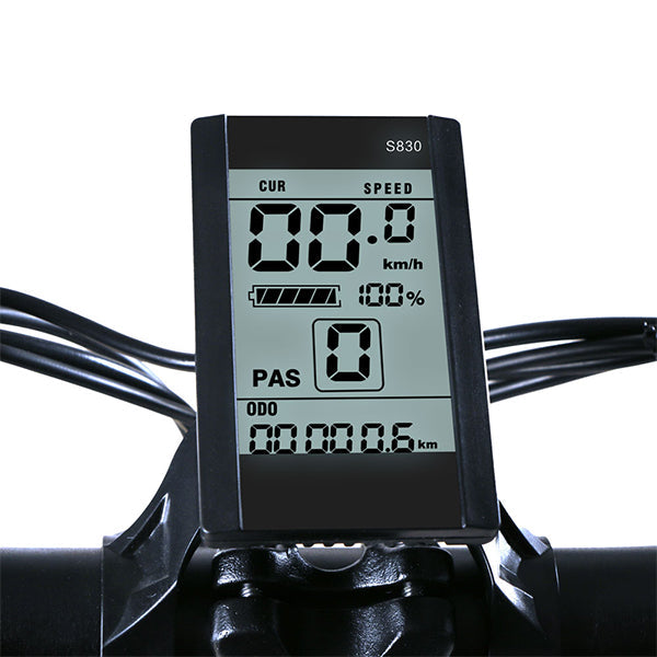 Ecrã LCD SAMEBIKE