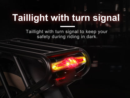 XWLX09-II 1000W Bicicleta Elétrica de Montanha com Pneus Grossos