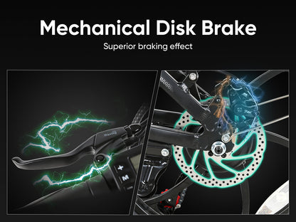 20LVXD30 Bicicleta Elétrica Dobrável