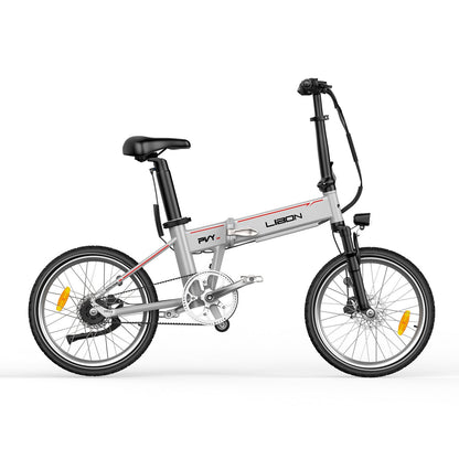 PVY LIBON (cópia de segurança) (cópia)