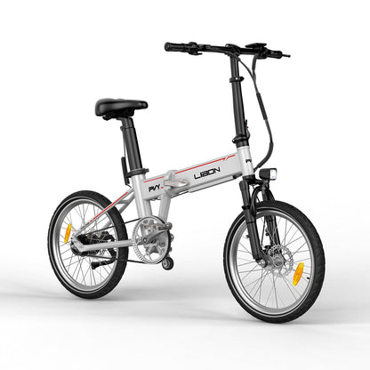 PVY LIBON（备份）