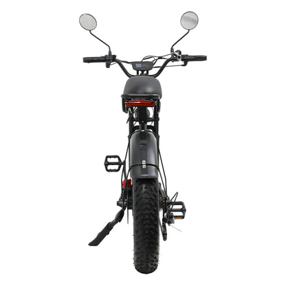 DUOTTS F20 20" Off Road Electric Bike 750W Motor 52V 27Ah Battery