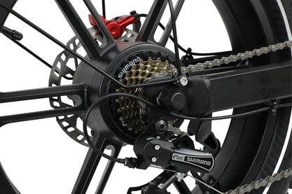 DUOTTS F20 Bicicleta Elétrica