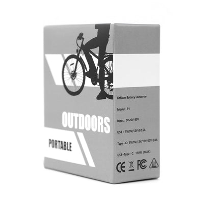 Convertisseur de batterie Duotts