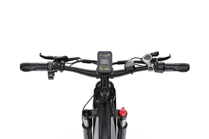 DUOTTS F26 Bicicleta Elétrica