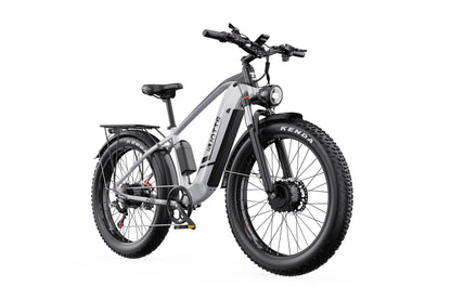 DUOTTS F26 Bicicleta Elétrica