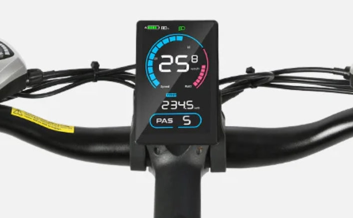 Ecrã LCD SAMEBIKE