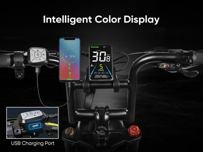 M20 Bicicleta Elétrica 1000W