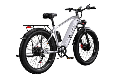 DUOTTS F26 Bicicleta Elétrica Envio para os EUA