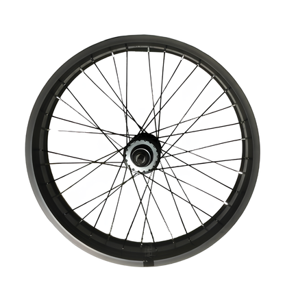 Raggi per pneumatici PVY Z20 PLUS